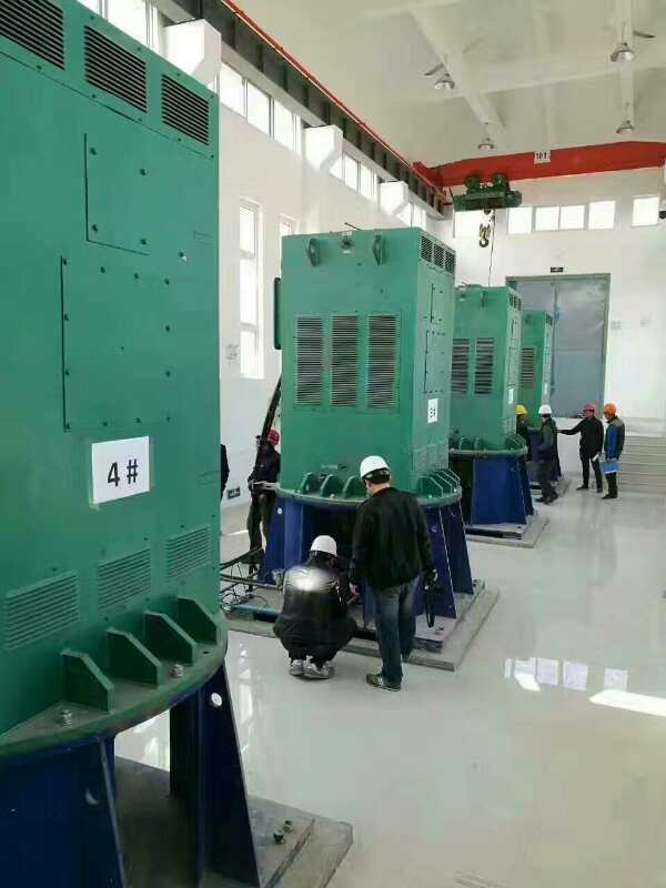 托喀依乡某污水处理厂使用我厂的立式高压电机安装现场质量好不好