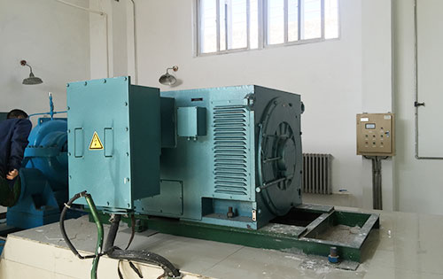 托喀依乡某水电站工程主水泵使用我公司高压电机哪家好