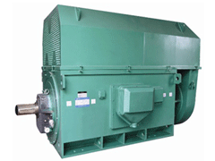 托喀依乡Y系列6KV高压电机
